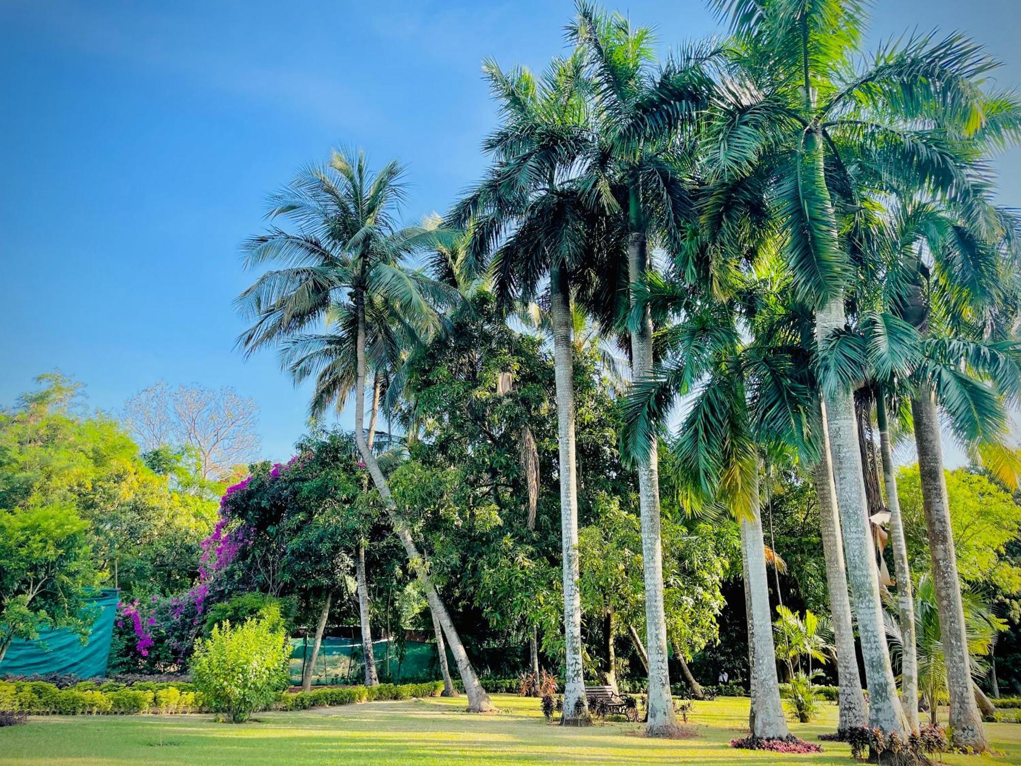 Trident Bhubaneswar Hotel Buitenkant foto